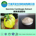 Natural organic garcinia cambogia extract powder/garcinia cambogia extract capsules